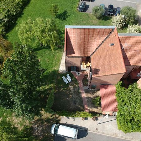 La Villetta D' Angolo Migliarino Pisano Exterior foto